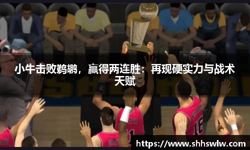 小牛击败鹈鹕，赢得两连胜：再现硬实力与战术天赋